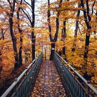 FallSeason (1)-min (1).jpg